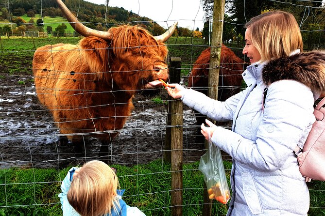 Highlands, Glencoe and Glenfinnan Viaduct Luxury Private Tour - Inclusions and Pricing