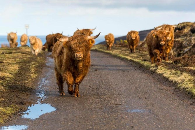 Highlands + Glencoe + Loch Ness Private Tour - Uncovering the Mysteries of Loch Ness