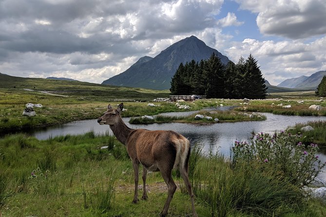 Highlands Private One Day Tour of Scotland - Taking in Nature