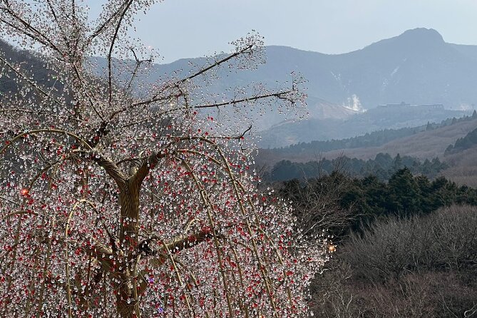 Highlight of Hakone: Private Tour With a Certified National Guide - Accessibility and Accommodations