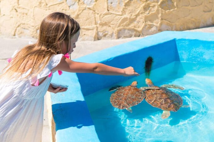 Highlight Turtle Island Nusa Dua, GWK, Melasti & Kecak Dance - Frequently Asked Questions