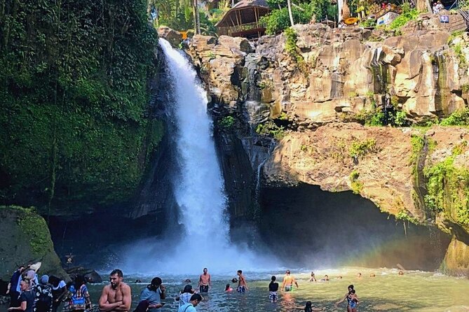 Highlight Ubud Temple, Rice Terrace Including Waterfall - Highlights of the Tour