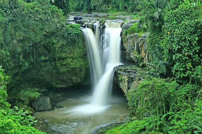 Highlight Ubud Temple, Rice Terrace Including Waterfall - Safety Considerations