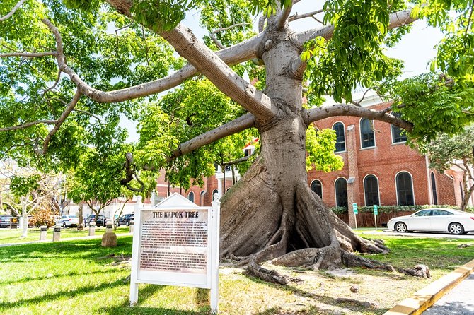 Highlights and Stories of Key West - Small Group Walking Tour - Accessibility and Logistics