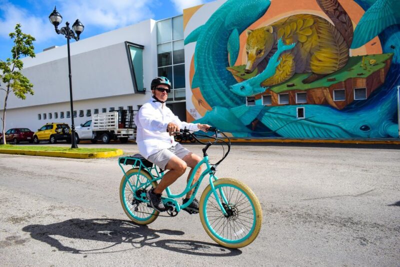 Highlights City Tour in Cozumel & Taco Tasting - Key Points