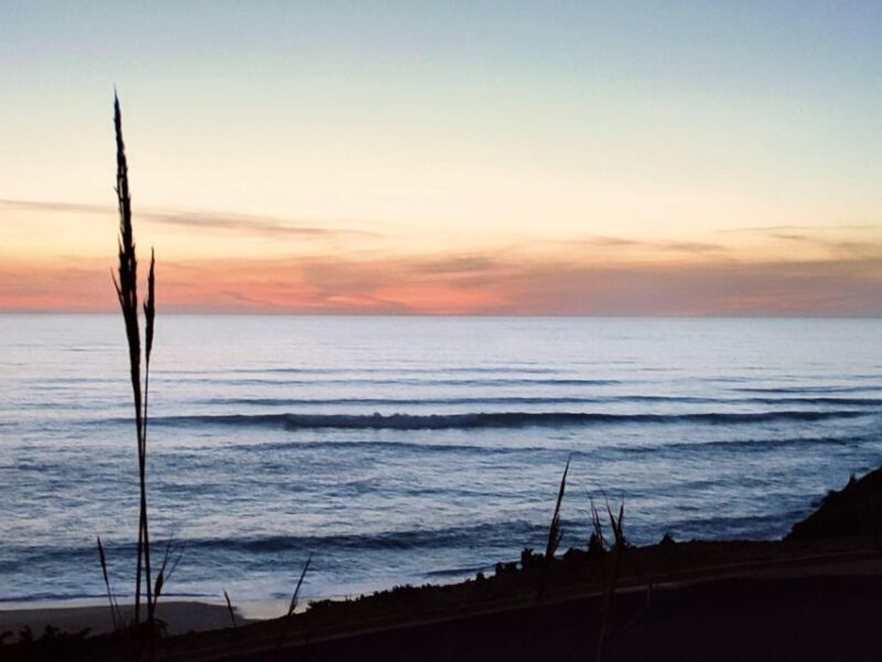 Highlights & Culinary Kickstart of Ericeira | PRIVATE Tour - Itinerary Highlights