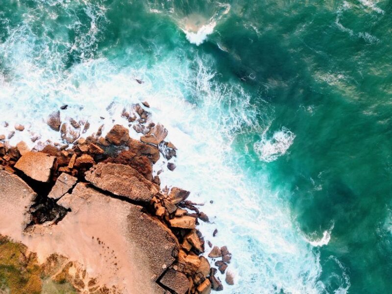 Highlights & Culinary Kickstart of Ericeira | PRIVATE Tour - Inclusions