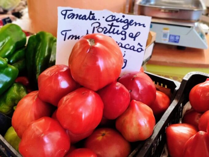 Highlights & Culinary Kickstart of Ericeira | PRIVATE Tour - Vibrant Atmosphere and Lifestyle