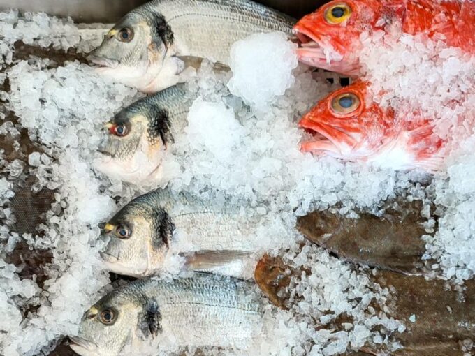 Highlights & Culinary Kickstart of Ericeira | PRIVATE Tour - Frequently Asked Questions