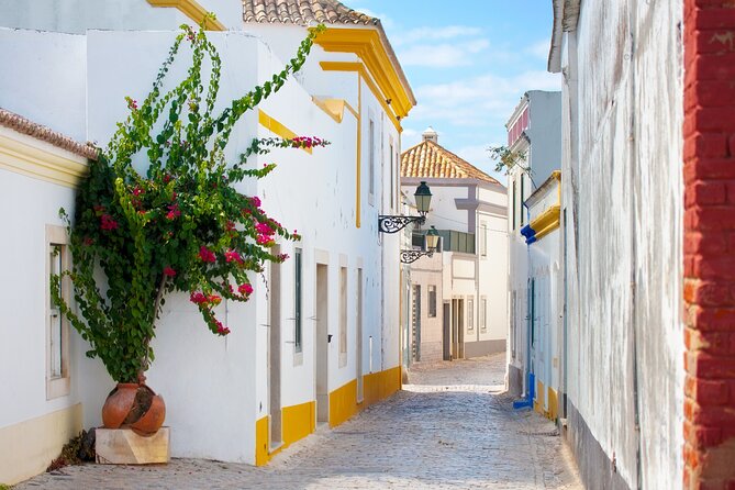 Highlights & Hidden Gems of Faro Private Tour - Local Insights and Experiences