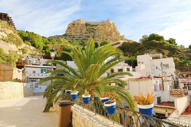 Highlights & Hidden Gems With Locals: Best of Alicante Private Tour - Tour Highlights and Inclusions