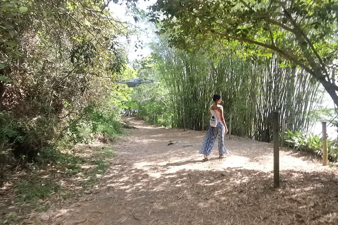 Highlights of Abraão and Enseada Das Estrelas in a 4-Hour Tour - Key Points