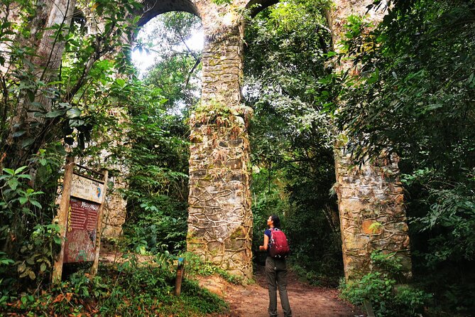 Highlights of Abraão and Enseada Das Estrelas in a 4-Hour Tour - Tour Overview