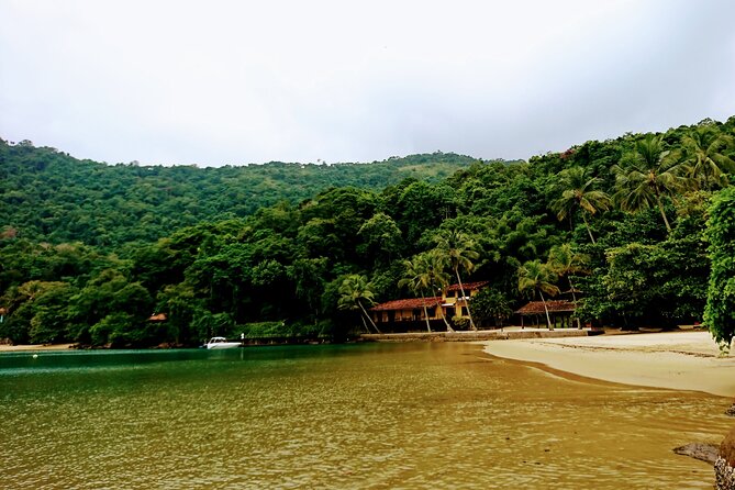 Highlights of Abraão Cove on a Half Day Hike in Ilha Grande - Pristine Beaches and Coves