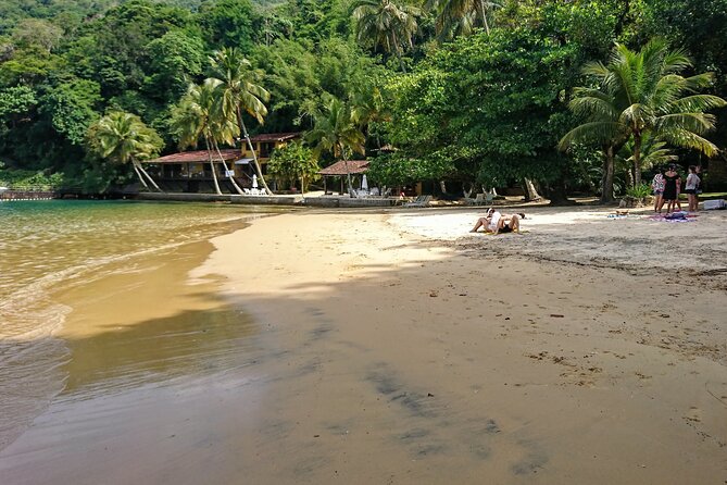 Highlights of Abraão Cove on a Half Day Hike in Ilha Grande - Opportunities for Bird Watching