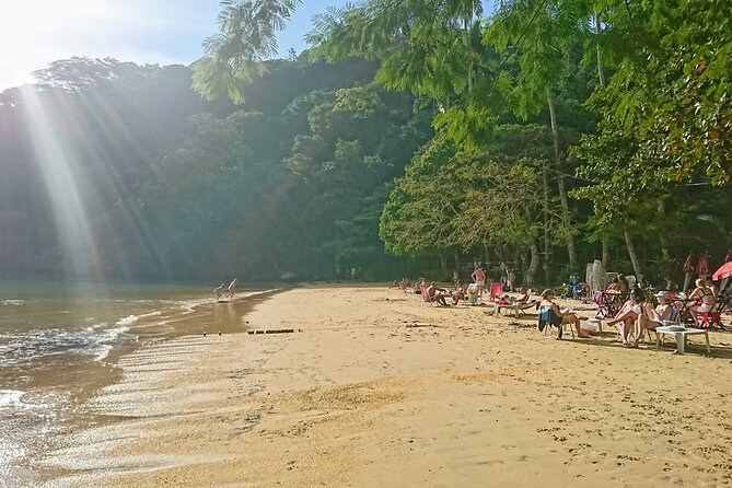 Highlights of Abraão Cove on a Half Day Hike in Ilha Grande - Refreshing Swimming Spots