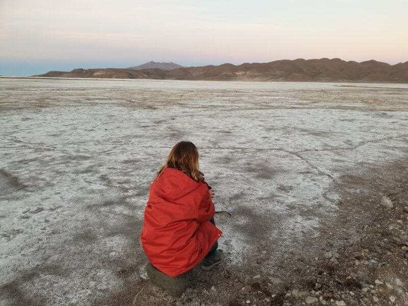 Highlights of Altiplano in an 4WD Overland Expedition - Accommodation and Meals