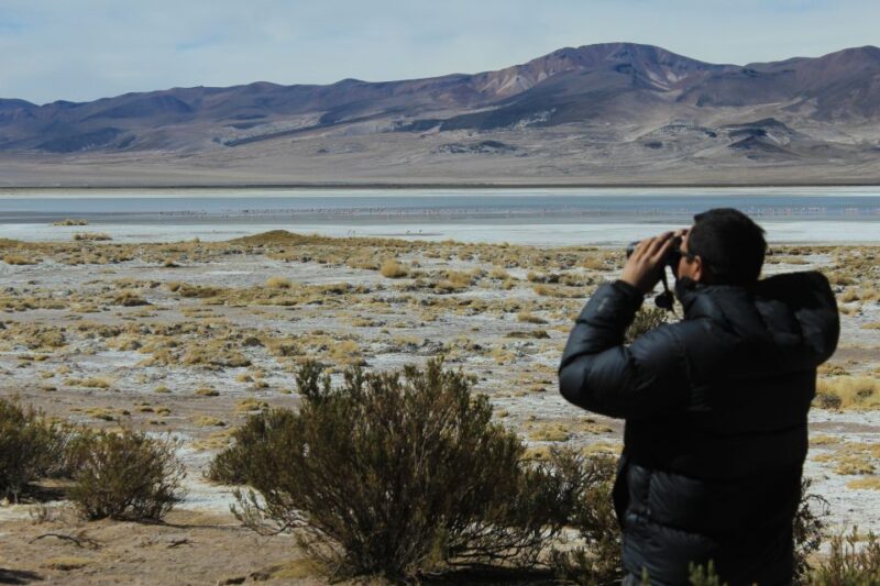 Highlights of Altiplano in an 4WD Overland Expedition - Transportation and Guides