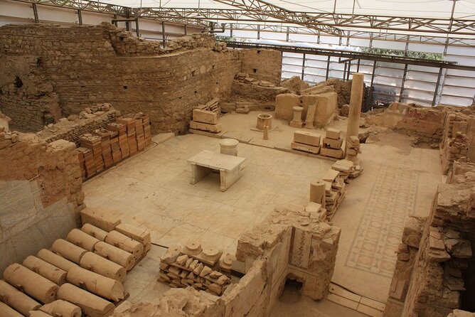 Highlights of Ancient City Ephesus Full Day Private Tour - Professional Guided Exploration