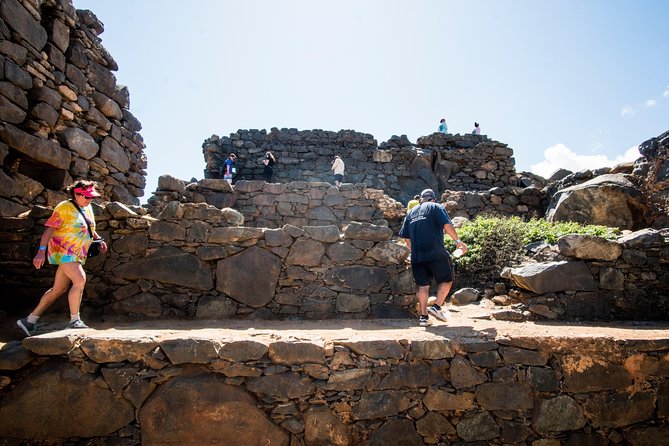 Highlights of Aruba Island Tour - Tour Group Size and Rating