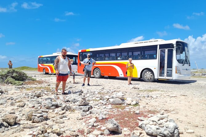 Highlights of Bonaire & Cultural Experience - Pricing and Booking