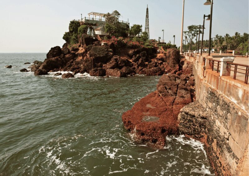 Highlights of Goa Neighbourhood - Guided Tour of Panjim - Who Will Enjoy This Tour?