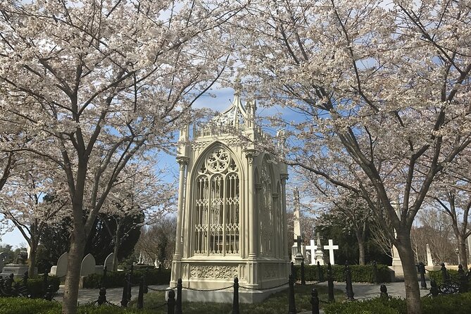 Highlights of Hollywood Cemetery Walking Tour - Key Points