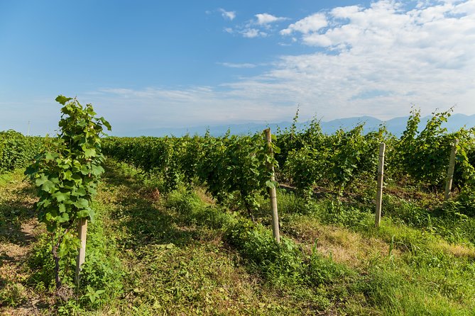 Highlights of Kakheti Region-Signagi,Bodbe,Wine Tasting(Private Tour) - Transportation Details