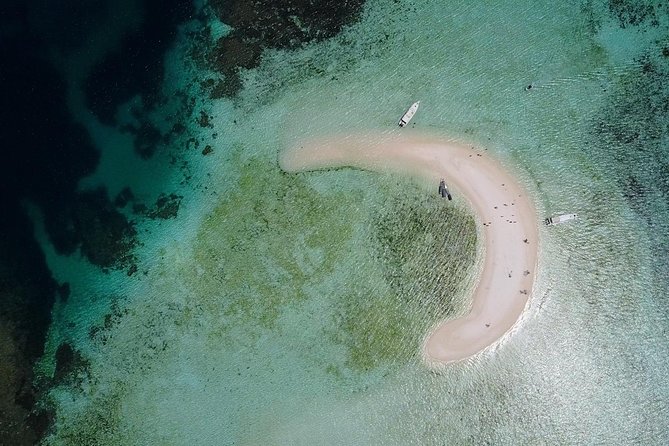 Highlights of Komodo - Vibrant Marine Life