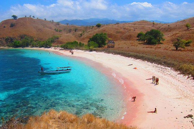 Highlights of Komodo - Diverse Ecosystems