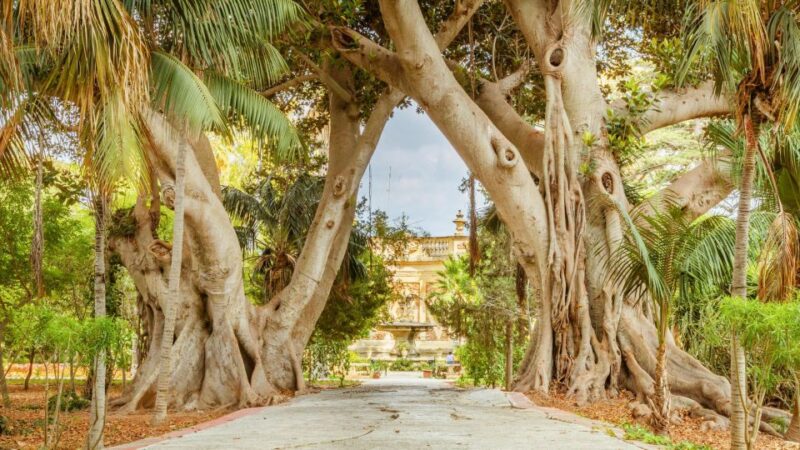 Highlights of Malta Tour:Icons and Experiences of the Island - Historical Marvels