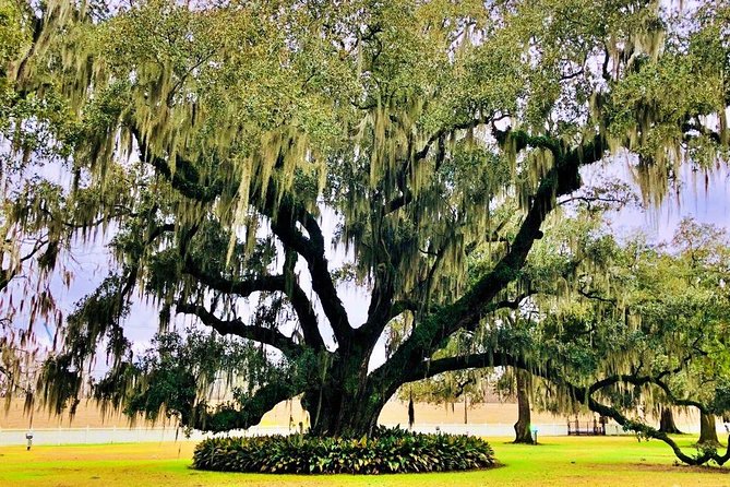 Highlights of New Orleans City and Destrahan Plantation Tour - Historical Architecture and Design