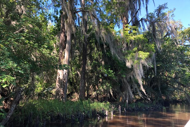 Highlights of New Orleans City and Swamp Tour Combination - Taking in the French Quarter