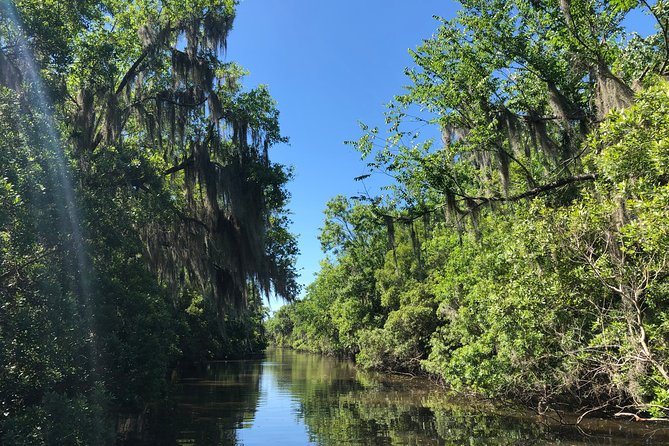 Highlights of New Orleans City and Swamp Tour Combination - Experiencing the Mysterious Swamps