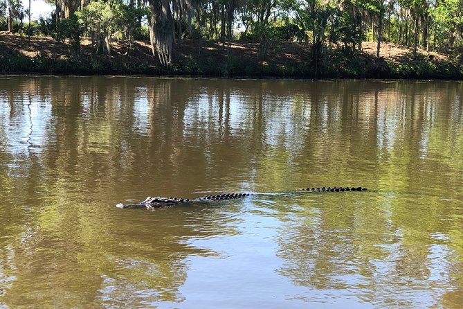 Highlights of New Orleans City and Swamp Tour Combination - Captivating Writers and Historians