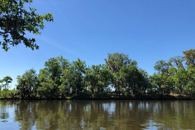 Highlights of New Orleans City and Swamp Tour Combination - Luxury Vehicle Transportation Provided