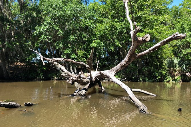 Highlights of New Orleans City and Swamp Tour Combination - Airboat Tour Fees Included