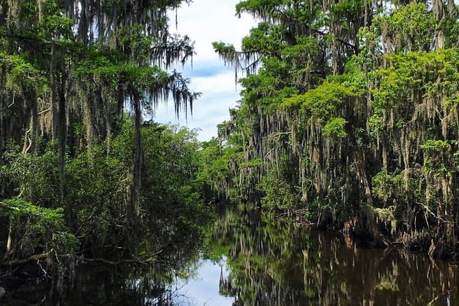 Highlights of New Orleans City and Swamp Tour Combination - Booking and Cancellation Policies