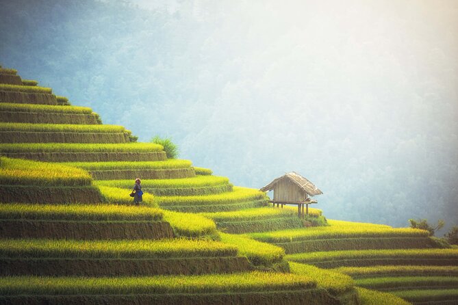 Highlights of Northern Vietnam In 6 Days - Halong Bay Cruise
