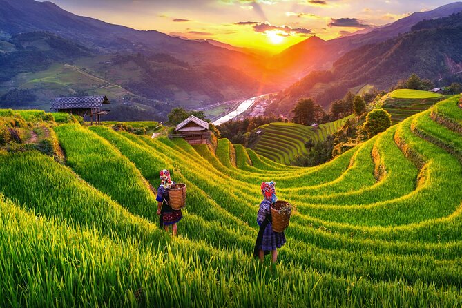 Highlights of Northern Vietnam In 6 Days - Customer Feedback