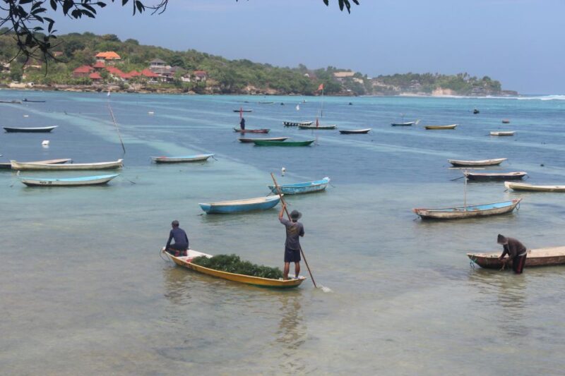 Highlights of Nusa Lembongan Islands Tour - All Inclusive - Key Points