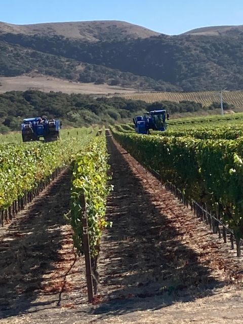 Highlights Of, Santa Barbara and or Winery Tours . - Wine Tasting Experience