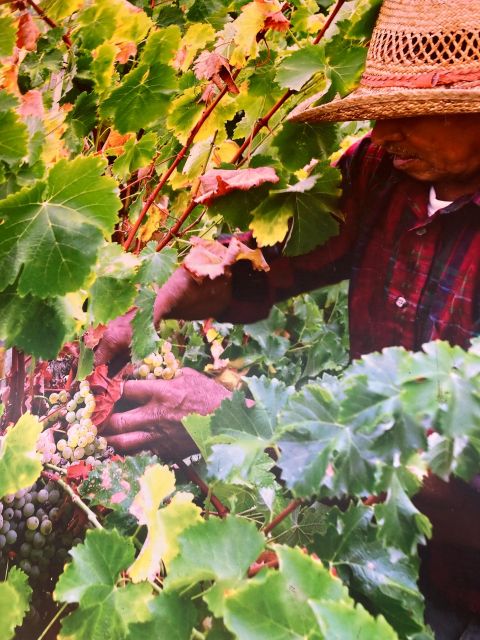 Highlights Of, Santa Barbara and or Winery Tours . - Cancellation and Refund Policy