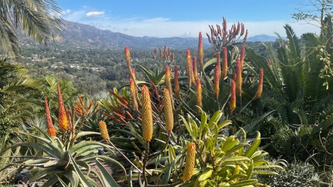 Highlights Of, Santa Barbara and or Winery Tours . - Frequently Asked Questions
