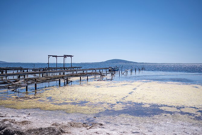 Highlights of Sète, Food and Wine Tour - Quick Points