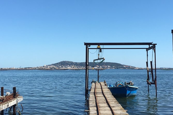 Highlights of Sète, Food and Wine Tour - Navigating the Picturesque Landscape