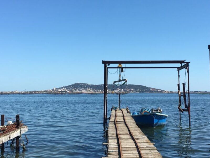 Highlights of Sète, Wine and Oyster Tour - Lively Food Market