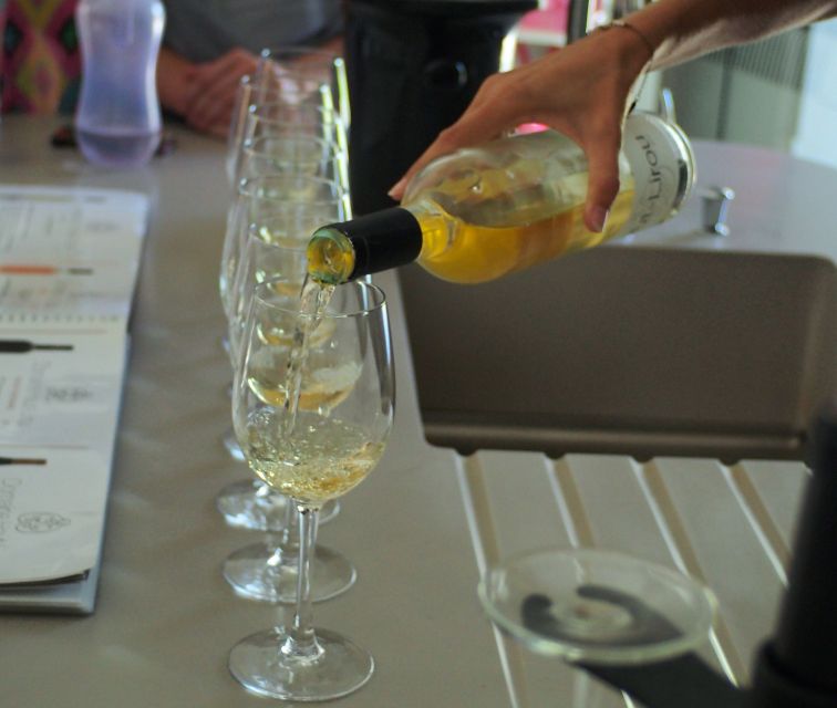 Highlights of Sète, Wine and Oyster Tour - Wine Tasting