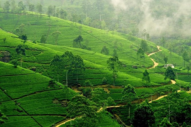 Highlights Of Sri Lanka - 4 Days - Discovering the Royal City of Kandy