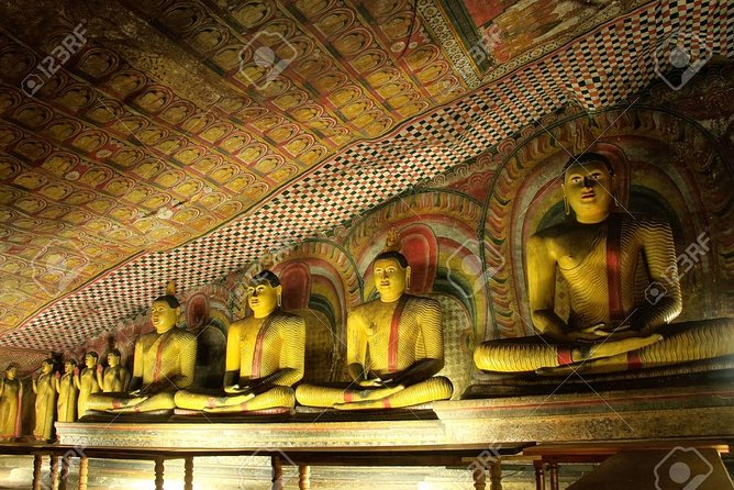 Highlights Of Sri Lanka- 7 Days Tour - Inclusions and Exclusions